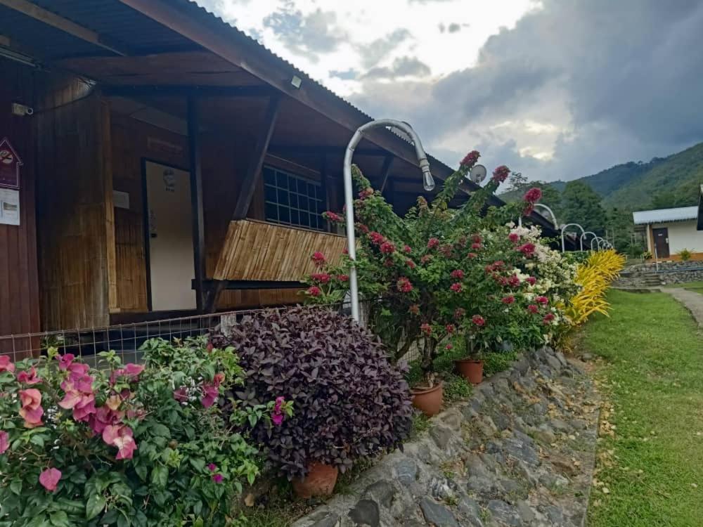 Inap Desa Kilimu Ranau Hotel Luaran gambar